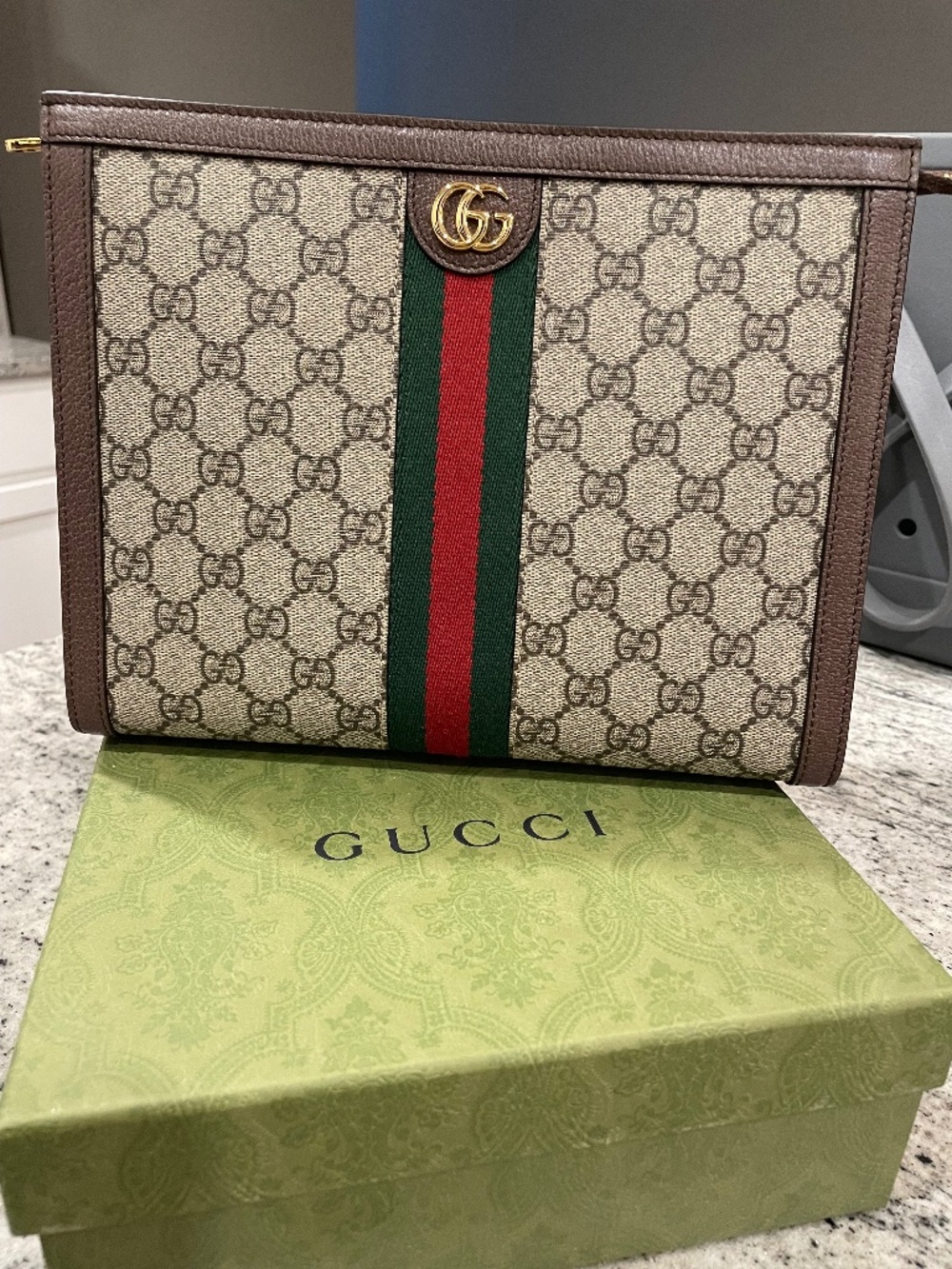 Gucci Ophidia Pouch